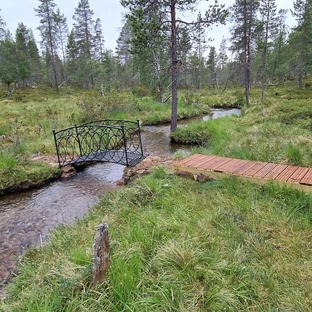 Kuukkeli Log Houses Aurora Cabin - Jaspis 萨利色尔卡 外观 照片