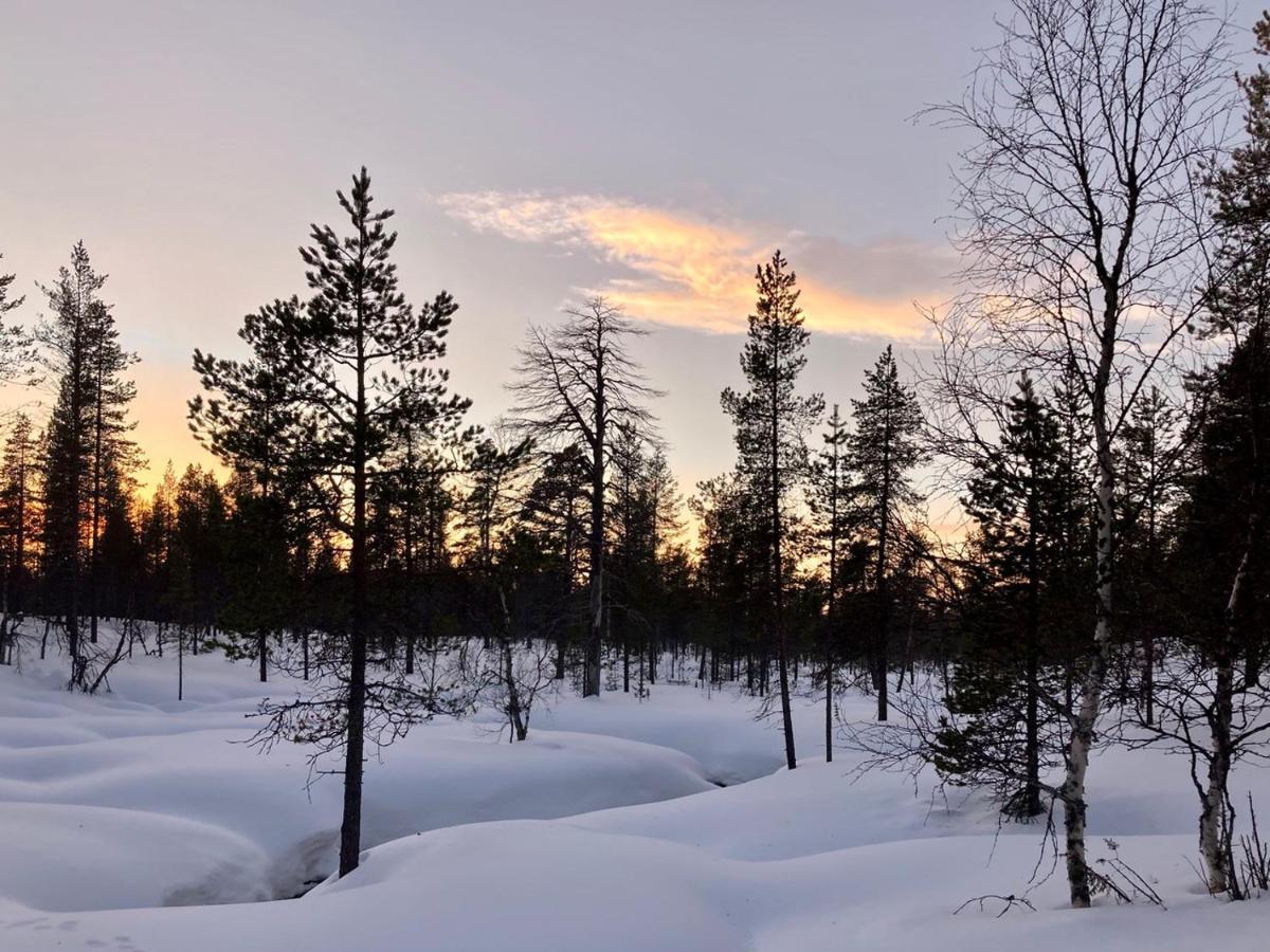 Kuukkeli Log Houses Aurora Cabin - Jaspis 萨利色尔卡 外观 照片