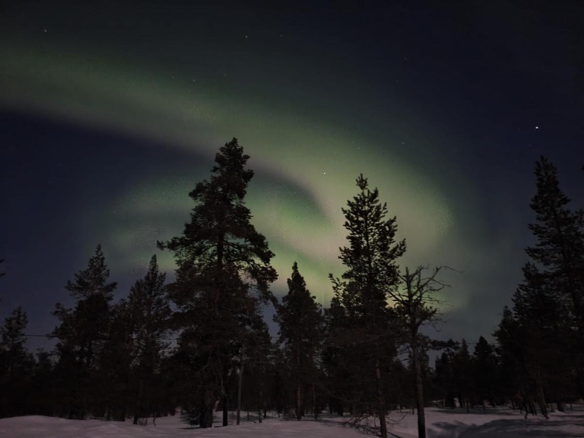 Kuukkeli Log Houses Aurora Cabin - Jaspis 萨利色尔卡 外观 照片