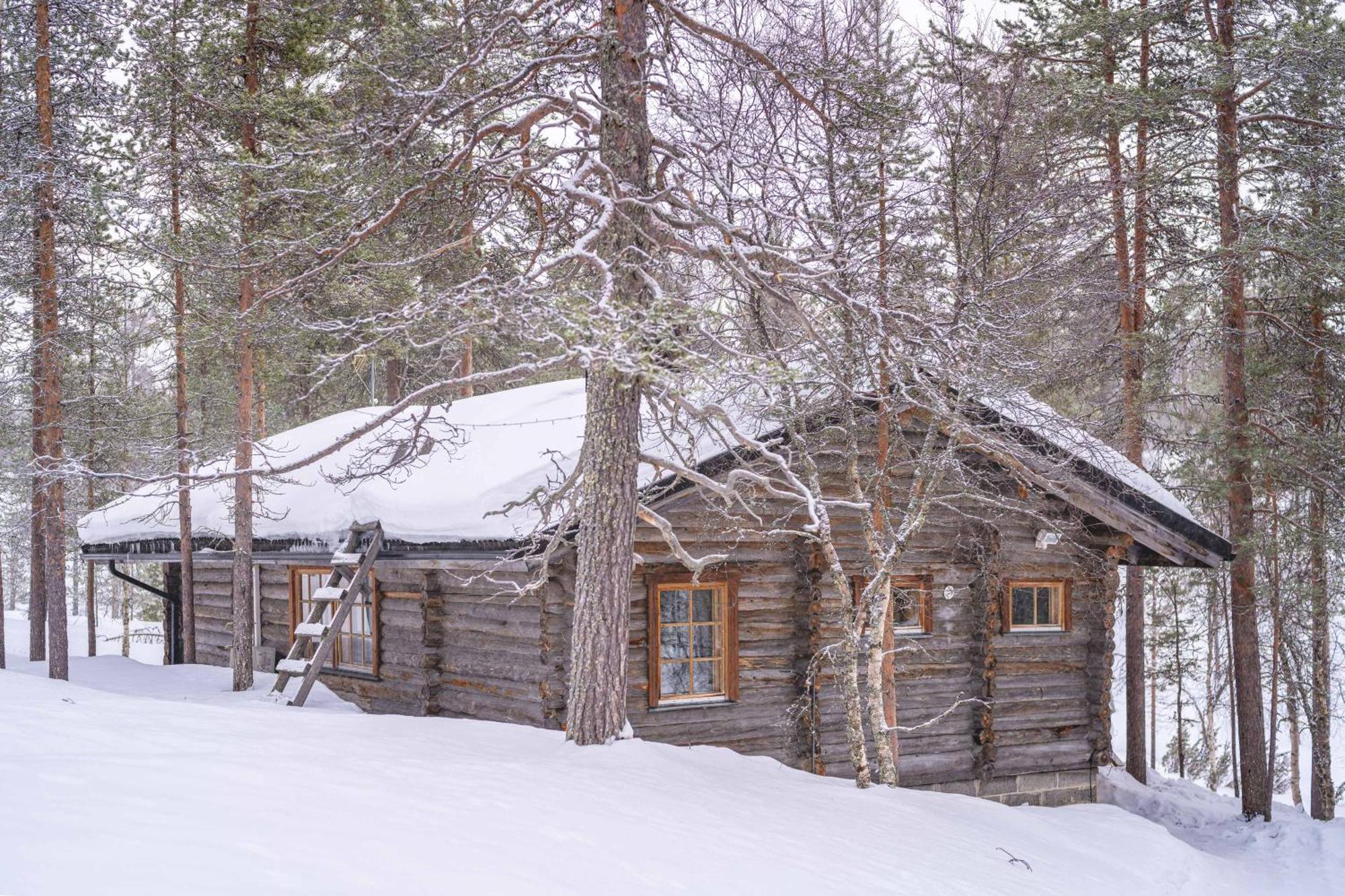 Kuukkeli Log Houses Aurora Cabin - Jaspis 萨利色尔卡 外观 照片